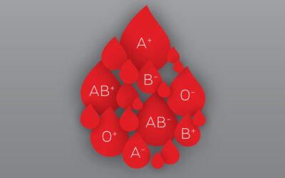 Dobrovoljno darivanje krvi u XVIII. gimnaziji